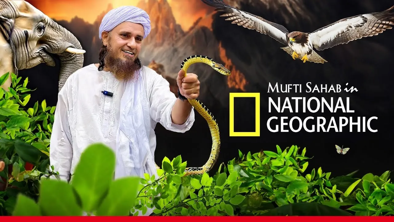 Lion Hunting A Zebra in Africa Chipata Jungle - Vlog-| Mufti Tariq Masood Speeches